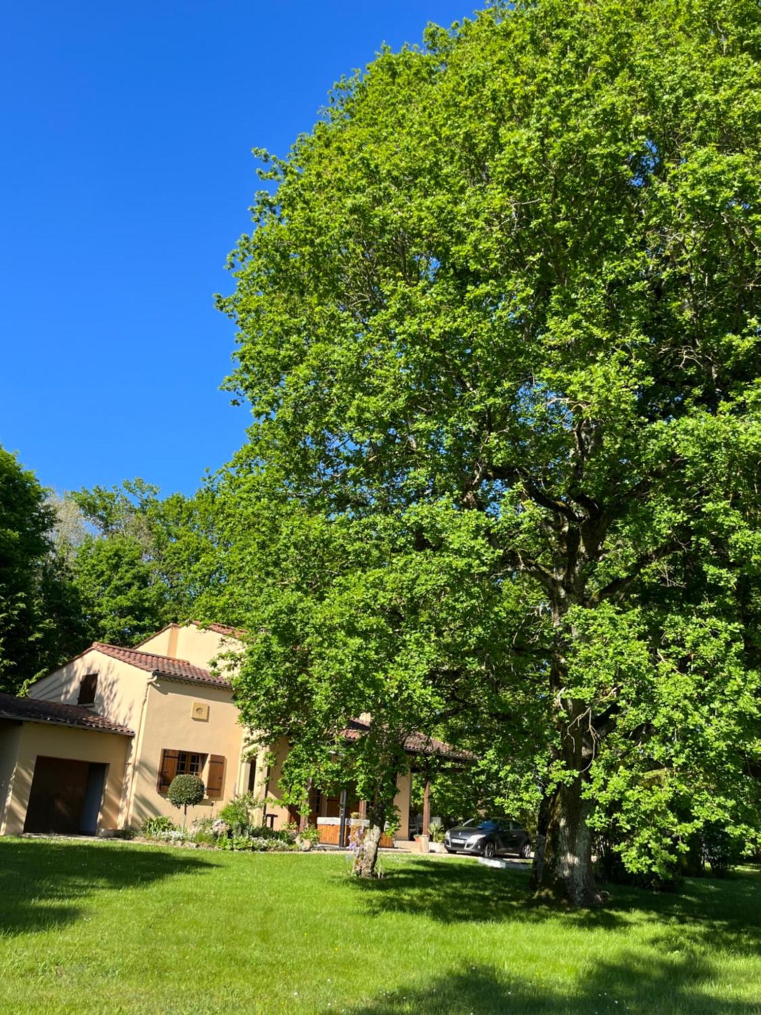 Maison De Vacances Macou 2 Capdrot Εξωτερικό φωτογραφία