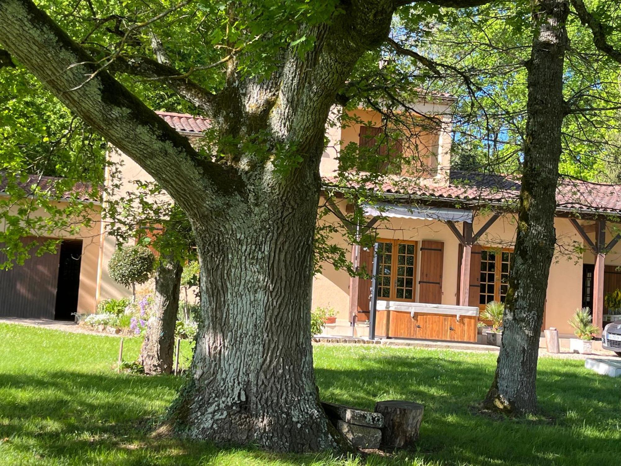 Maison De Vacances Macou 2 Capdrot Εξωτερικό φωτογραφία